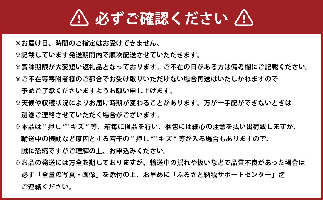 岡山白桃 エース 8～16玉 約4kg 岡山県産