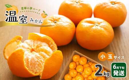 温室みかん 小玉 約2kg 豊華の夢ロード