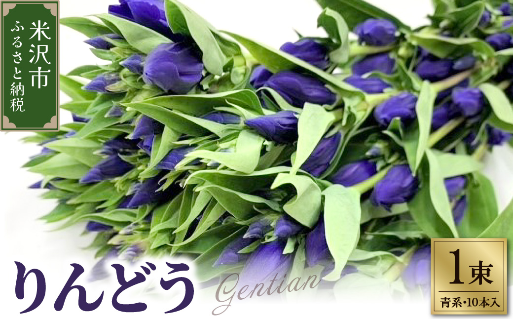 【先行予約】 りんどう 青系 1束 10本入り 花 生花 切花 2026年8月上旬～9月中旬 お届け予定 山形県 米沢市