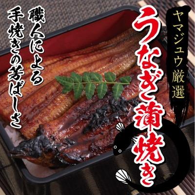 ふるさと納税 室戸市 ヤマジュウ厳選うなぎ1尾