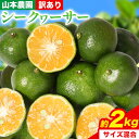 【ふるさと納税】【訳あり】 和歌山県産 シークヮーサー 約2kg （サイズ混合） 山本農園 《10月上旬-1月上旬頃出荷》和歌山県 日高川町 柑橘 果物 フルーツ