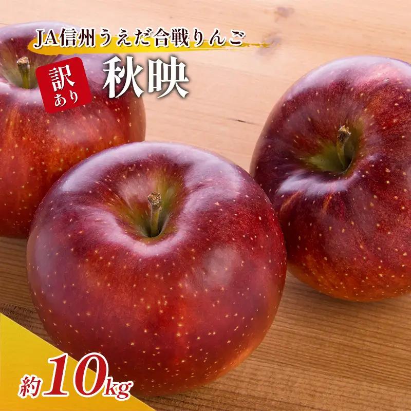 りんご 秋映 約10kg 果物 くだもの りんご