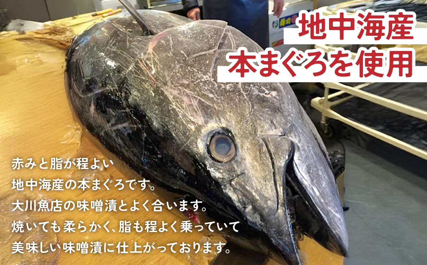 【先行予約】本まぐろ味噌漬 6切 | 本まぐろ味噌漬 6切 本鮪 濃厚旨味 脂の甘み 味噌香ばしさ 酵素熟成 旨味凝縮 焼くだけ簡単 和食おかず ご飯によく合う 酒の肴 鮪グリル ふっくら食感 カリッ