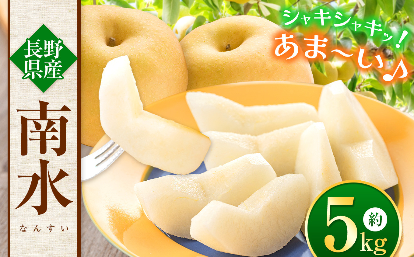 
                  【先行受付】信州生まれの優れもの！糖度１５度。超甘い、シャリ感、硬い、ジューシー、日保ちする「南水（なんすい）」5ｋｇ｜ 梨 なし 南水 なんすい 長野県 松本市 信州産 果物 フルーツ ふるさと納税 糖度15度
                