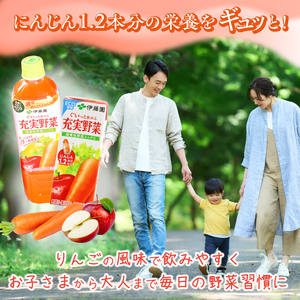 伊藤園 充実野菜 緑黄色ミックス 740g×15本セット（1ケース） ／ 野菜ジュース 飲料 ソフトドリンク ペットボトル PET 1箱 備蓄 常備 まとめ買い 箱買い ケース買い 国内製造   01