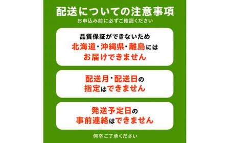 【ふるさと納税】 期間限定 シャインマスカット 期間限定 2房(約1.5kg以上) ぶどう マスカット 旬 糖度 皮ごと 種なし 送料無料 ギフト 贈答用 国産 食品 フルーツ お取り寄せ お取り寄せ