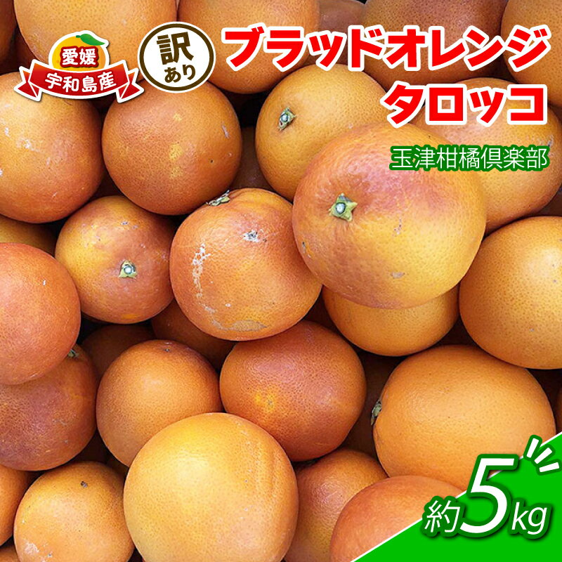 【ふるさと納税】 訳あり ブラッドオレンジ タロッコ 約5kg 玉津柑橘倶楽部 先行予約 サイズ 不揃い オレンジ 果実 果物 くだもの フルーツ 柑橘 愛媛蜜柑 愛媛みかん mikan 訳アリ わけあり 訳あり品 産地直送 数量限定 国産 愛媛 宇和島 B010-072047
