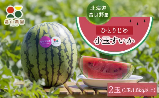 ＜2026夏発送＞ひとりじめ小玉すいか　2玉【1318922】