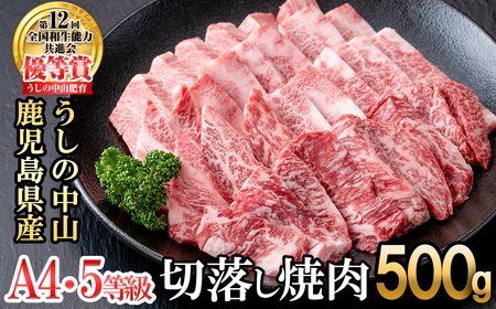 うしの中山 切り落とし焼肉用500g×1P 黒毛和牛 和牛 肉 牛肉 国産 九州産 鹿児島県産 焼肉 日本一 b0-202