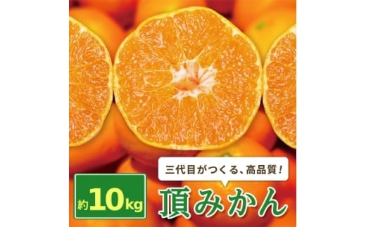 三代目がつくる高品質＜頂みかん＞10kg【1181951】