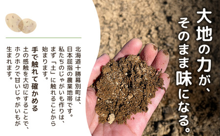 先行予約/2026年秋発送 北海道 十勝 幕別産 じゃがいも さやか 約10kg 【横山農園】 野菜 根菜 食材 しっとり 崩れにくい 煮込み料理 炒め物 肉じゃが カレー シチュー 北海道のジャガイ