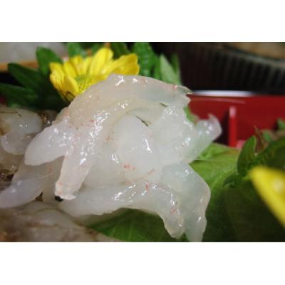 ふるさと納税 射水市 シロエビの刺身100g |  | 01