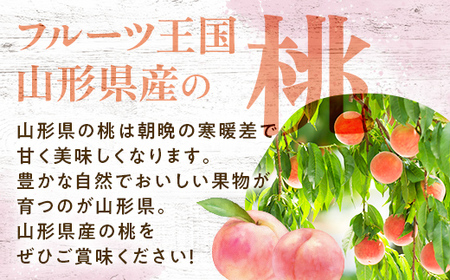 FYN9-731 ≪2026年先行予約≫ ご家庭用 8月発送 山形県産 品種おまかせ 白桃 約3kg(7～13玉) 2026年8月上旬から順次発送 はくとう 桃 もも モモ 果物 くだもの 夏果実 フ