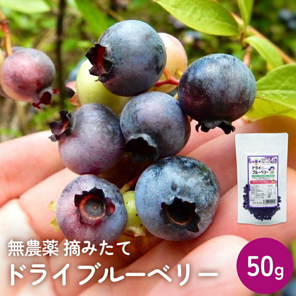 【ふるさと納税】ドライブルーベリー 50g 無添加 摘みたて 砂糖不使用 ノンオイル ドライフルーツ