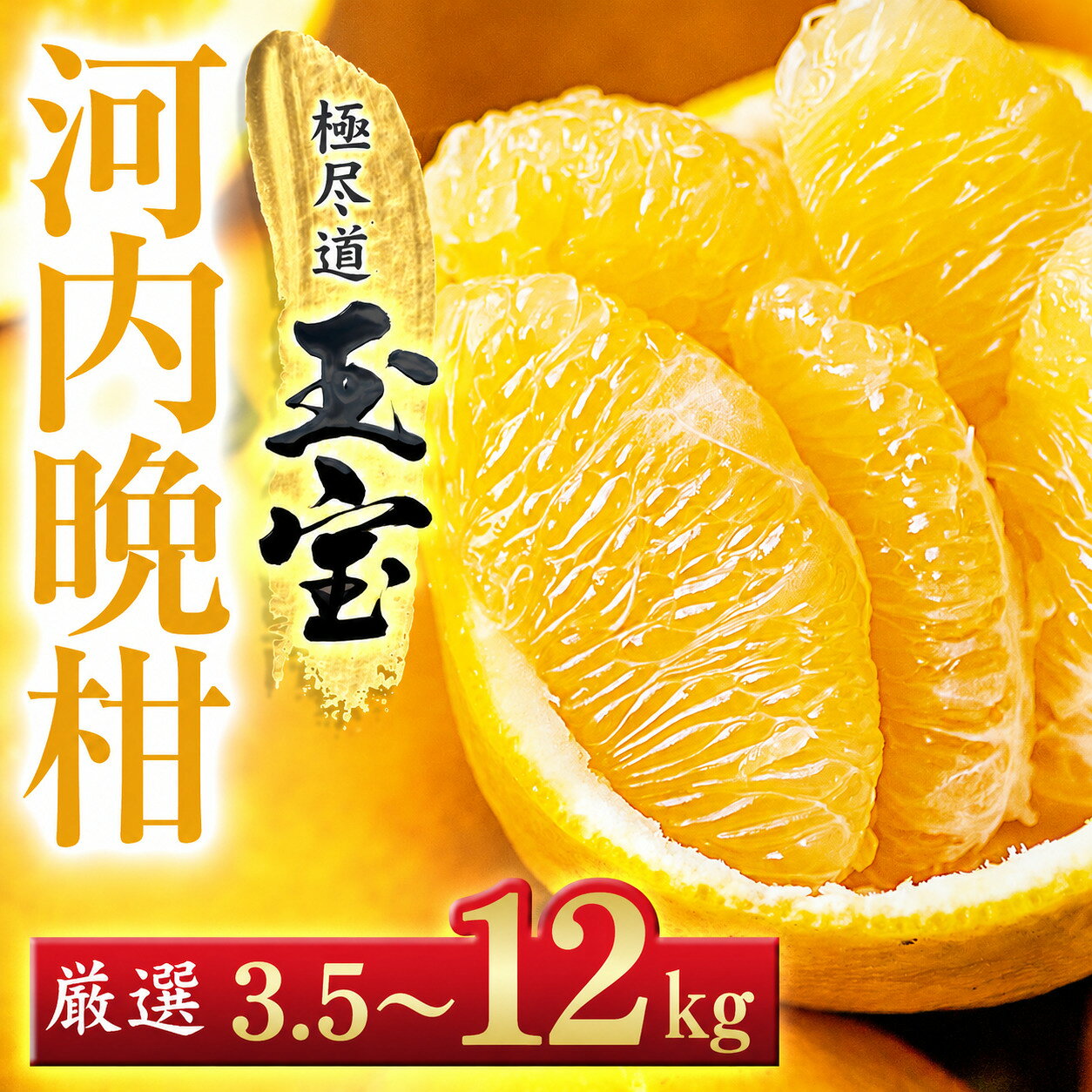 【ふるさと納税】【先行受付】【愛媛名産】玉宝河内晩柑　3.5kg/6kg/12kg_ みかん 河内晩柑 かわちばんかん 玉宝 ジューシーオレンジ 和製グレープフルーツ 愛媛のみかん 柑橘 果物 くだもの フルーツ 美味しい さっぱり 愛媛 ご当地 愛媛県 八幡浜市 【G1511374】 YWTY041