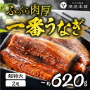 【ふるさと納税】ふっくら肉厚！一番うなぎ 超特大 2尾 鰻 国産 タレ付 セット 厳選 超絶うなぎ ウナギ 蒲焼 丑の日 高級 贅沢 ご褒美 お取り寄せ うな重 うな丼 ひつまぶし 冷凍 お祝い お歳暮 愛知県 豊橋市 29000円