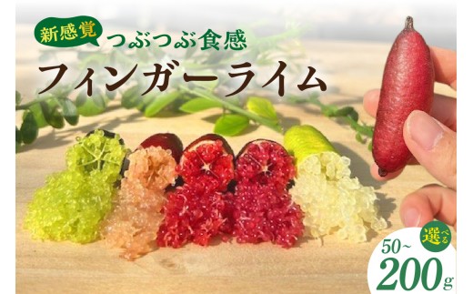
                  新感覚つぶつぶ食感！フィンガーライム【選べる容量】50g～200g｜果物 フルーツ 柑橘 森のキャビア
                