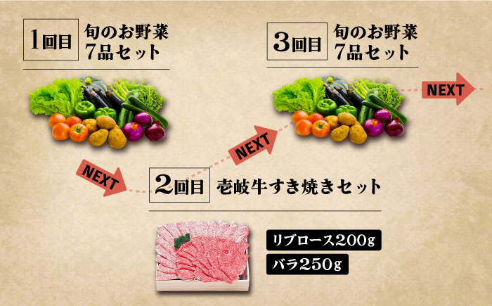 【全6回定期便】《A4～A5ランク》壱岐牛と旬の野菜定期便《壱岐市》【壱岐市農業協同組合】 [JBO078] 《A4～A5ランク》肉 黒毛和牛 野菜 旬 詰め合わせ 贅沢 BBQ 150000円 15