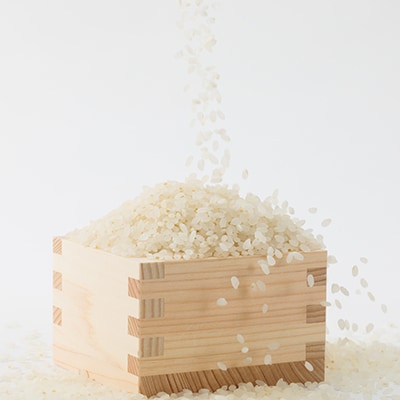 【突鉱土育ち】津山産トッコウ米(こしひかり)5kg【1361991】