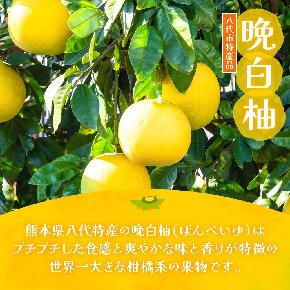 柑橘 【先行予約】 晩白柚ペースト「マキシト」・晩白柚シロップ漬「ごろっと晩白柚」セット 柑橘 【2027年1月中旬より順次発送】