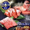 【ふるさと納税】長崎和牛 焼肉用 赤身スライス600g (モモ・ウデ 各300g)【株式会社 黒牛】[OCE096]