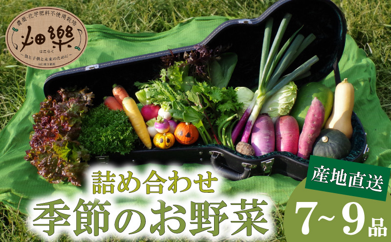 
旬 の 野菜 詰め合わせ セット 7 ~ 9 品 お楽しみ 産地直送 農家直送 季節 春 夏 秋 冬 露地野菜 やさい サラダ 農薬 化学肥料 不使用 下関 山口
