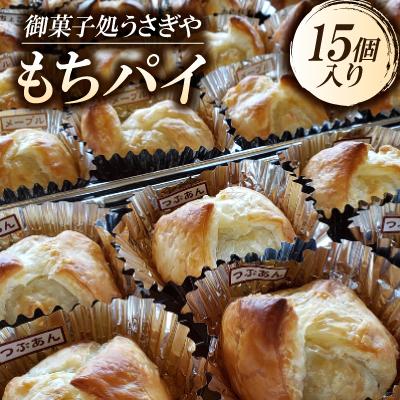 ふるさと納税 鯖江市 もちパイ 15個入り