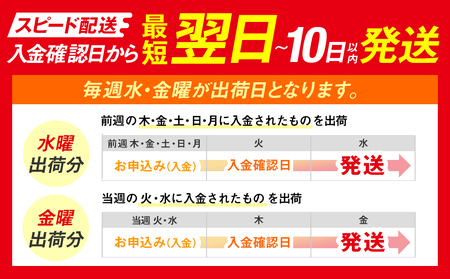 上しらす干し 300g 冷凍 しらす ちりめん