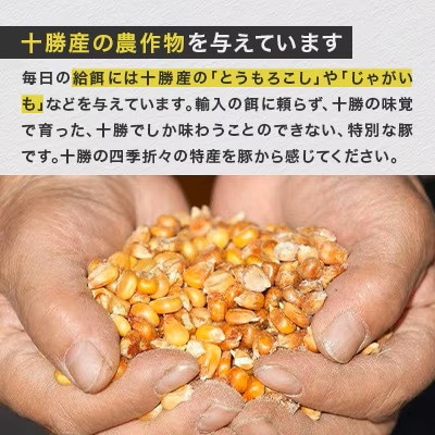 【毎月定期便】自然放牧黒豚 無添加ハンバーグセット計1.5kg(150g×10) 十勝鹿追産全3回【配送不可地域：離島】