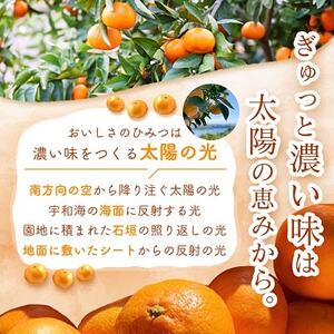 三代目がつくる愛媛みかん 7.5kg【訳あり(家庭用)】【C31-17】【1120067】