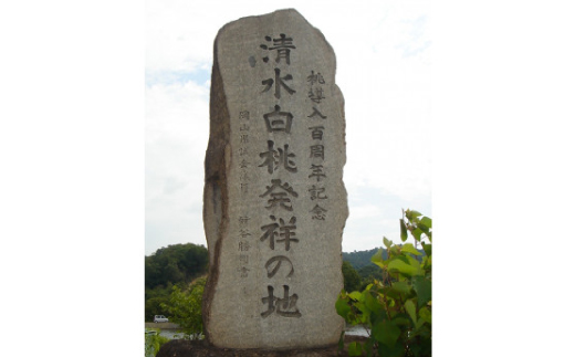 岡山市　一宮産　清水白桃　6～8玉入り　2キロ 化粧箱入り【配送不可地域：離島・北海道・沖縄県・東北・関東・信越、北陸】