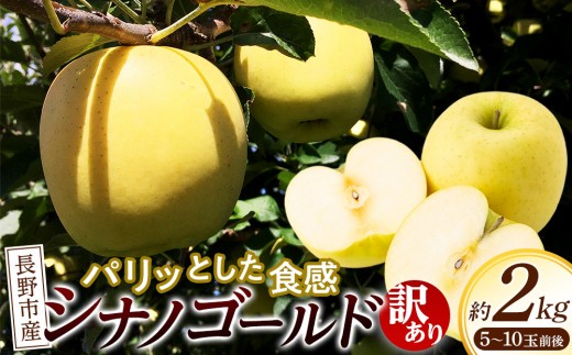 
                  長野市産シナノゴールド訳あり家庭用2kg｜産地よりお届け濃厚りんご
                