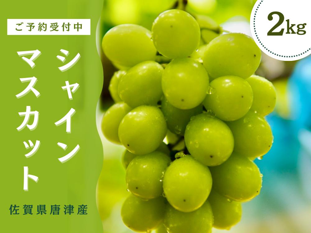 
            ＜先行予約受付中・令和7年7月下旬以降順次発送＞【濃厚芳醇】佐賀県唐津産シャインマスカット  2kg（A13732-04）
          