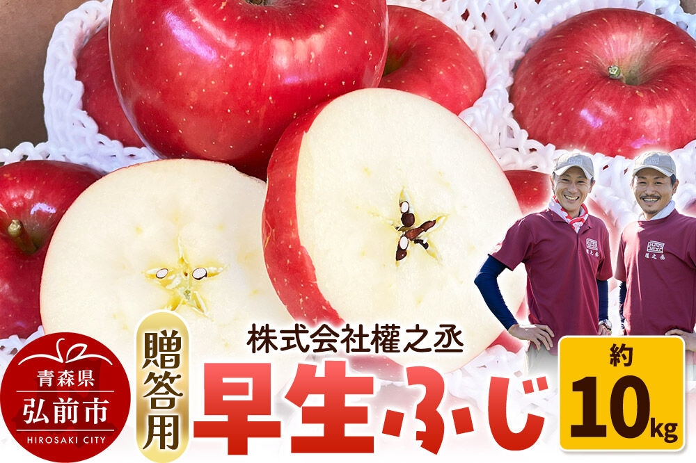 
                  りんご 早生ふじ【贈答用】約10kg 權之丞farm 青森県 弘前市 果物 フルーツ 林檎 リンゴ くだもの ギフト 贈り物 [産地直送 弘前市産 アップル おいしい 果実 美味 甘い 赤色]
                