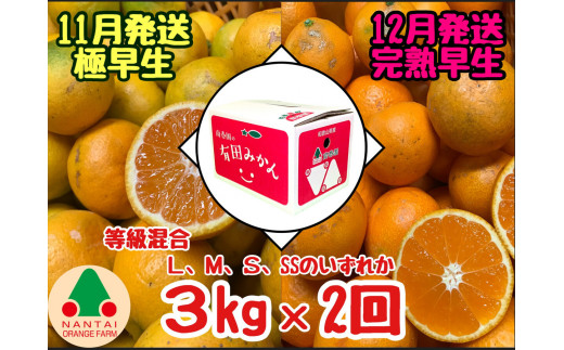 
                  定期便 11・12月発送 有田みかん 2種 食べくらべ 極早生 ＆ 完熟早生 3kg 和歌山 みかん 南泰園 全2回
                