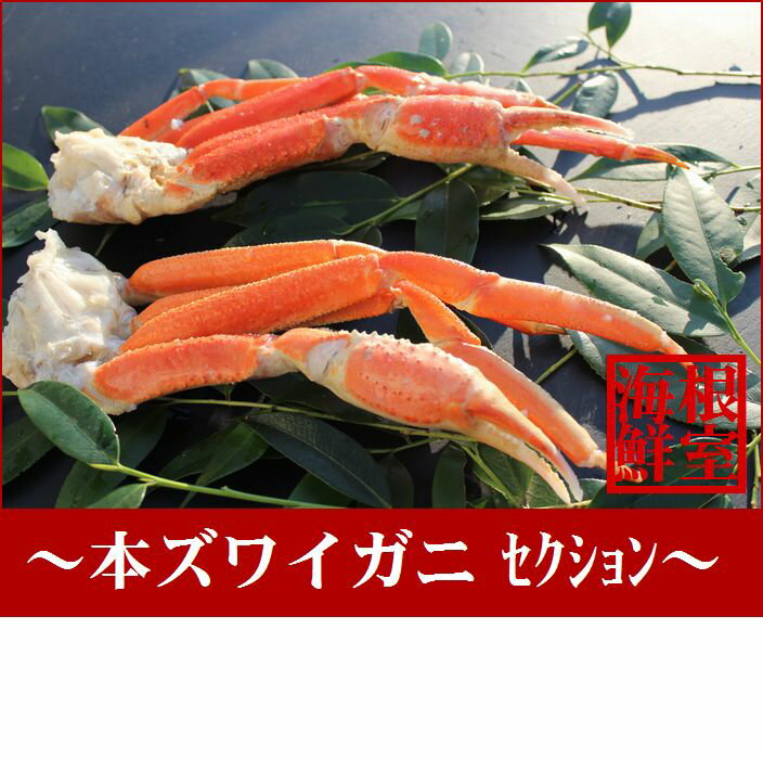 【ふるさと納税】本ズワイガニ足詰合せ B-57021
