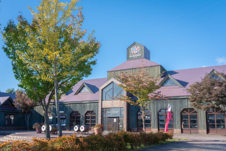 ワイン 白 高畠 アルケイディア シャルドネ 750ml 2本 セット [高畠ワイナリー 山形県 高畠町 tk06ays730061]