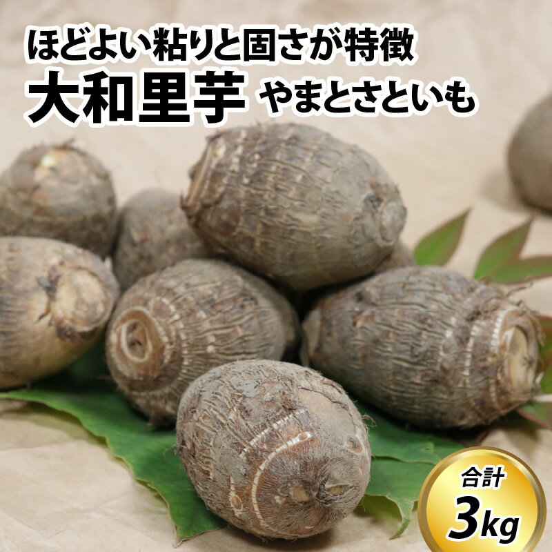 【ふるさと納税】【先行予約】さといも 大和里芋（やまと）3kg【2025年11月上旬より順次発送予定】 / 期間限定 産地直送 常温発送 土付き 煮物 味噌汁 煮っころがし サトイモ 野菜 富山県 滑川市