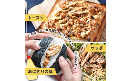 鰹ツナパウチ 100g×20袋セット 100グラム 国産 おにぎり つなまよ ツナマヨ ご飯 お弁当 魚 パスタ サラダ たんぱく質 タンパク質 おやつ かつお カツオ【企業組合　宇佐もん工房】 [B