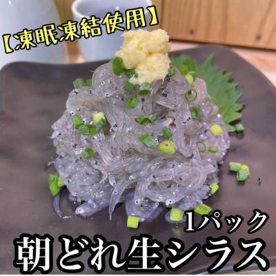 ふるさと納税 小田原市 新鮮!朝どれ 生しらす 食べきり1パック【凍眠凍結使用】【神奈川県小田原市早川】