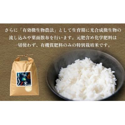 ふるさと納税 玖珠町 《先行受付》令和7年産 原農園 JAZZ米 白米 4kg 6回定期便 品種おまかせ |  | 02