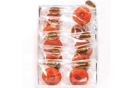 ベニドール干し柿（遠赤外線加工紅干し柿）１０個　0040-2508