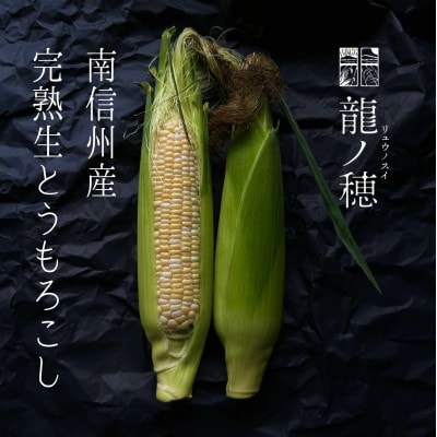 【2025年分先行受付】南信州産 完熟生とうもろこし 約3kg(6本～8本)【配送不可地域：離島】