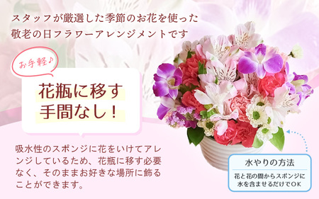 【 敬老の日限定 】 敬老の日ギフト そのまま飾れる フラワーアレンジメント 生花 感謝メッセージカード付・越前和紙 小花一輪付【ギフト  シルバー 花瓶いらず 水替え無  花】 [e51-a011]