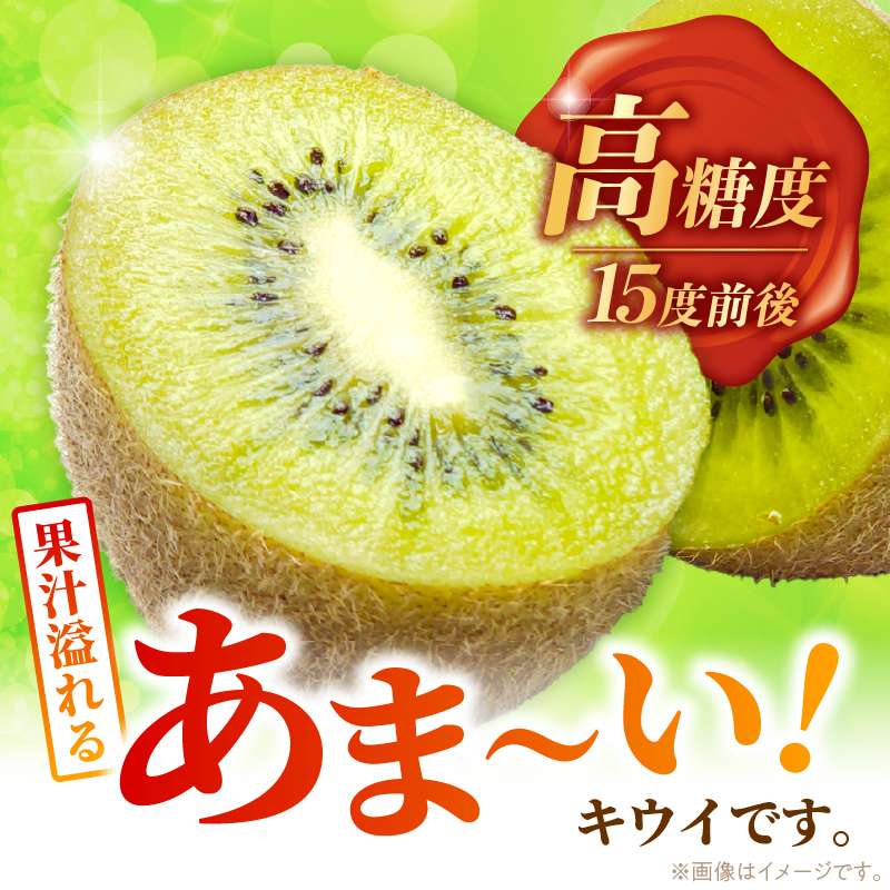 【2026年10月以降お届け】甘うぃ1.5kg箱_甘い キウイ 甘うぃ キウイフルーツ 1.5kg 国産 甘みの強い 果実 黄色味 福岡 オリジナル品種 濃厚 まろやか 高糖度 フルーツ 果物 ヨーグ