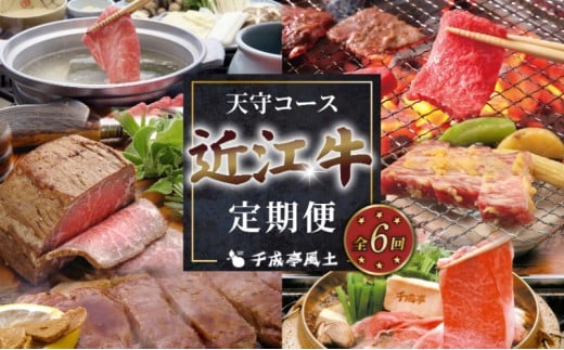 近江牛 6ヶ月定期便 天守コース ( 三角バラ焼肉 特上カルビローストビーフ 肩ロースしゃぶしゃぶ 味噌漬け サーロインステーキ 特選ロースすき焼き ) | 定期便 千成亭 全6回 6ヶ月 6回 牛肉定期便 和牛定期便 黒毛和牛定期便 食べ比べ 肉 牛肉 和牛 国産 国産牛 黒毛和牛 肩ロース しゃぶしゃぶ ステーキ 焼肉 焼肉用 焼き肉 希少 おすすめ 人気 6か月定期便 6回定期便 彦根 滋賀