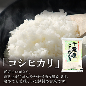 令和8年産 コシヒカリ10kg 日時指定可 こしひかり 千葉県 旭市 有限会社髙野商店
