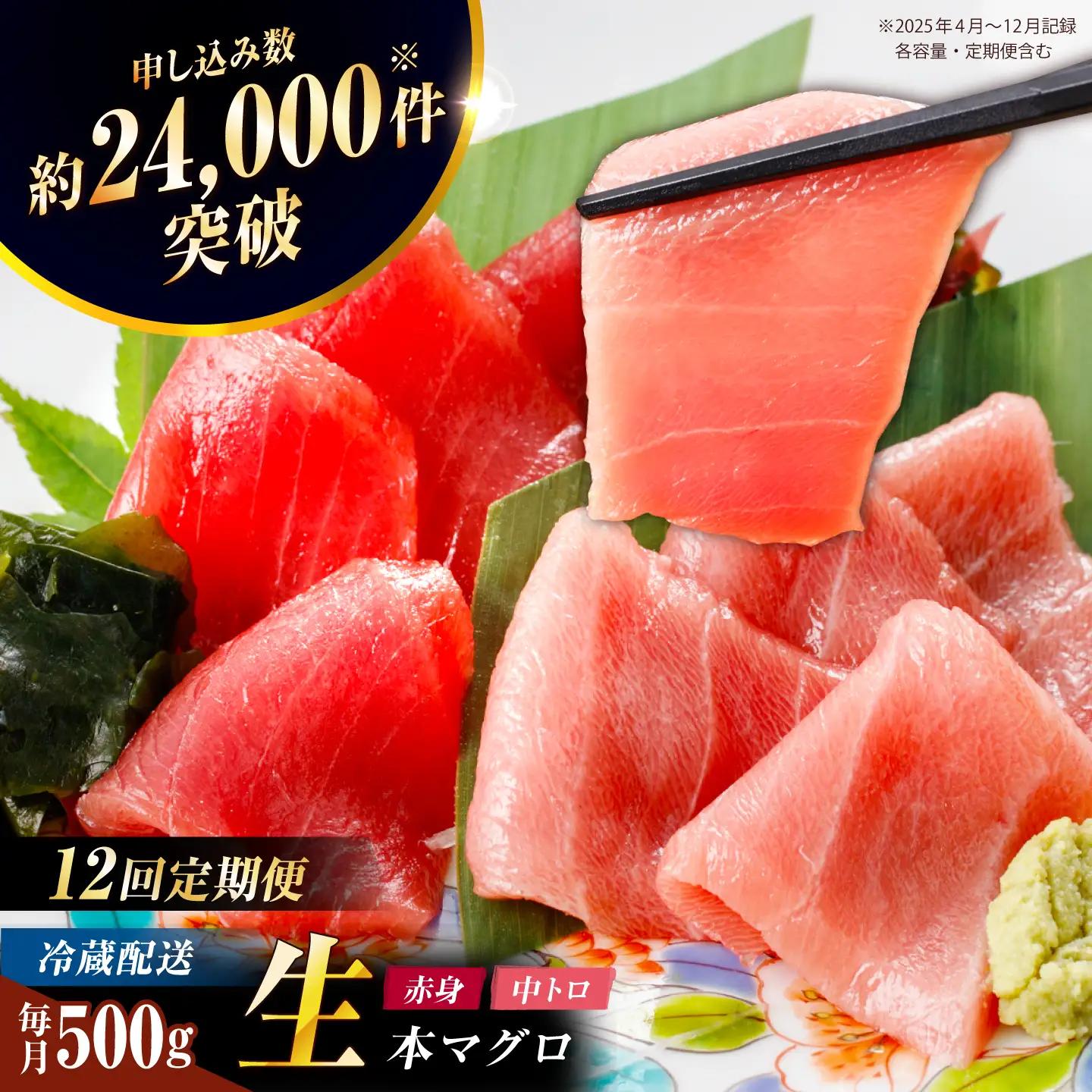 【全12回定期便】五島列島産養殖生本かみマグロ 赤身 中トロ 計約500g[RBP031] 本マグロ 本まぐろ 本鮪 本マグロ 本まぐろ 本鮪 本マグロ 本まぐろ 本鮪九州 長崎