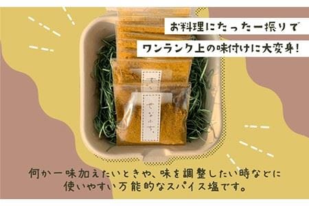 ＜テレビで紹介された人気カレー店＞ブレンド万能スパイス塩 10袋セット【せなふち。】 [FCM001]