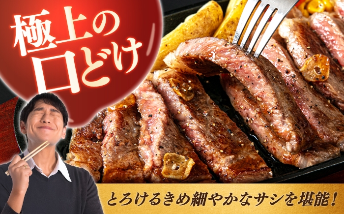 ステーキ肉 厚切り 赤身 希少部位 お肉 牛肉 黒毛和牛